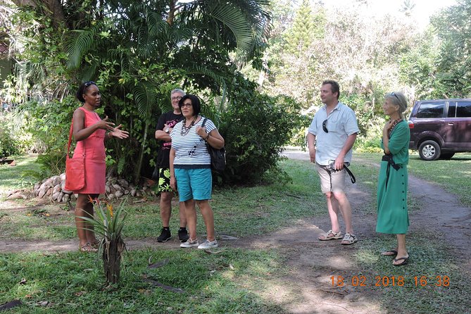 St Lucia Sundays Tour - Local Culture and Traditions