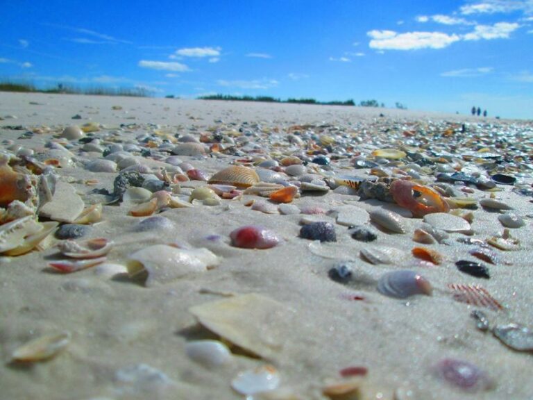 St. Petersburg, Florida: Private 4 Hour Beach Tour Tour Details