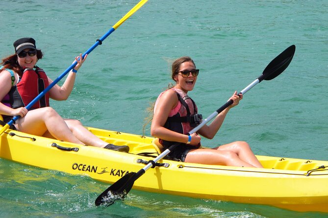 St Thomas Mangrove Lagoon Kayak And Snorkel Tour In The Us Virgin Islands Overview Of The Tour