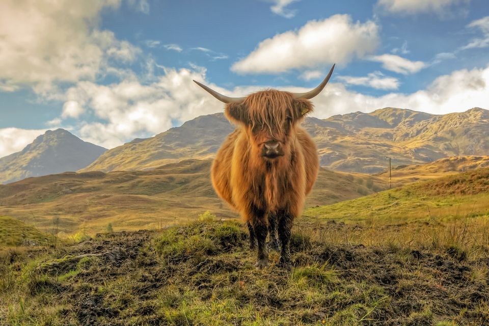 Stirling Castle, Loch Lomond & Whisky Tour From Edinburgh - Tour Overview