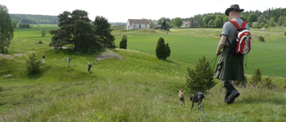 Stockholm Icelandic Horses, Countryside and Swedish History - Tour Overview