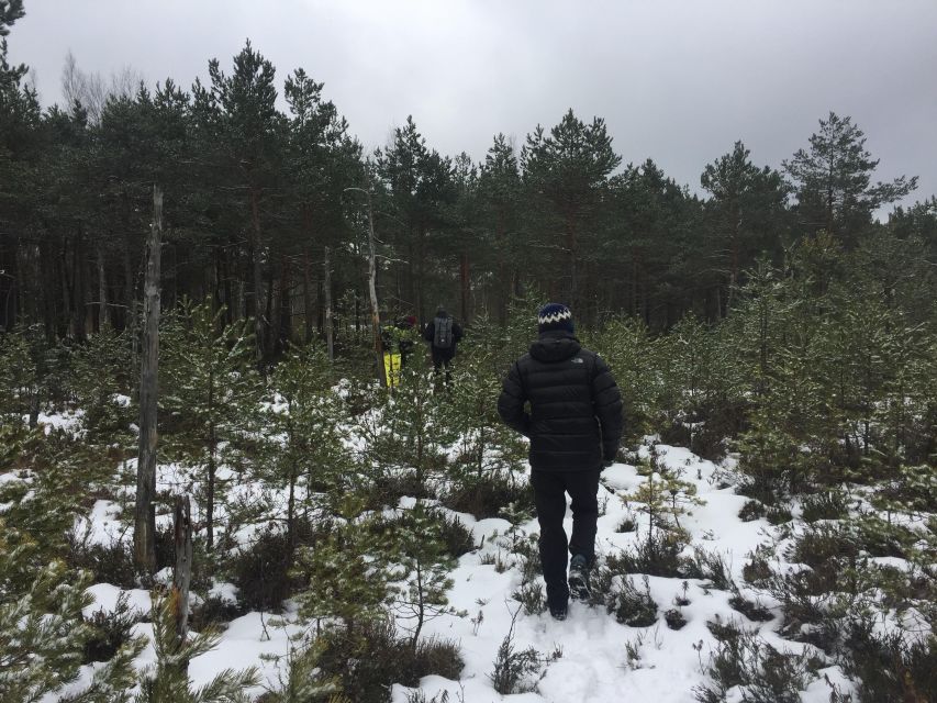 Stockholm: Nature Reserve Hiking Tour With Campfire Lunch - Tour Overview