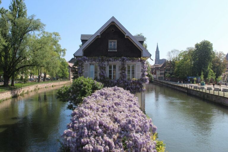 Strasbourg: Walking Tour With Local Guide Tour Details