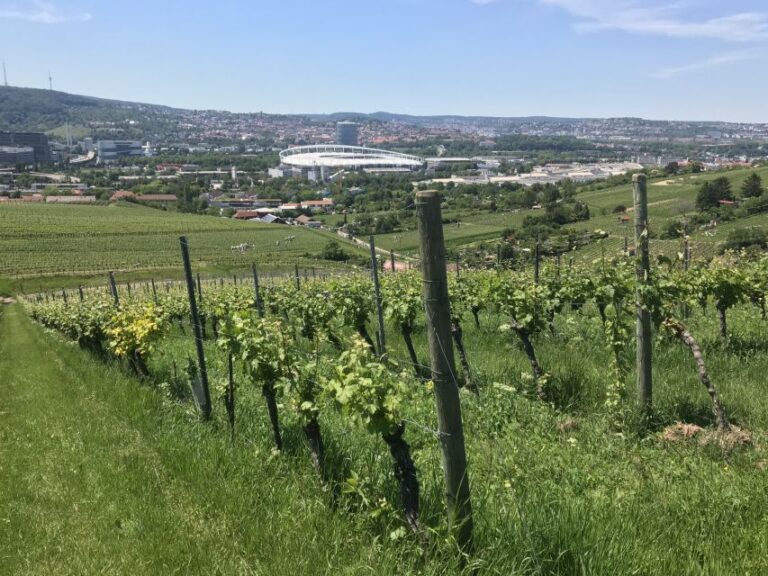 Stuttgart: Wine Tour With Wines Of The Best Winemakers Tour Overview