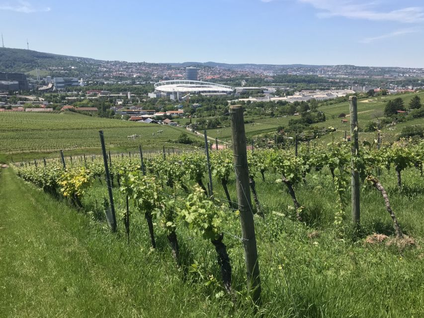 Stuttgart: Wine Tour With Wines of the Best Winemakers - Tour Overview