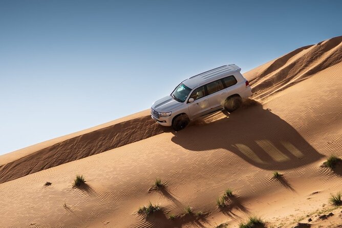 Sunrise/Morning Dune Drive With Camel Trek & Sand Surfing - Overview of the Experience