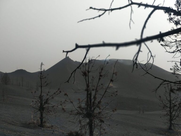 Sunset At The Tajogaite Volcano (with Guide No Transfer) Volcano Experience Overview