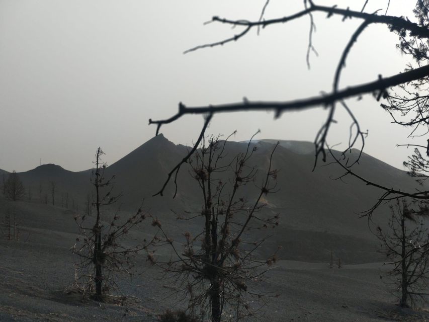 SUNSET AT THE TAJOGAITE VOLCANO (WITH GUIDE-NO TRANSFER) - Volcano Experience Overview