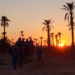 Sunset Camel Ride Marrakech Palmeraie Scenic Camel Ride Adventure