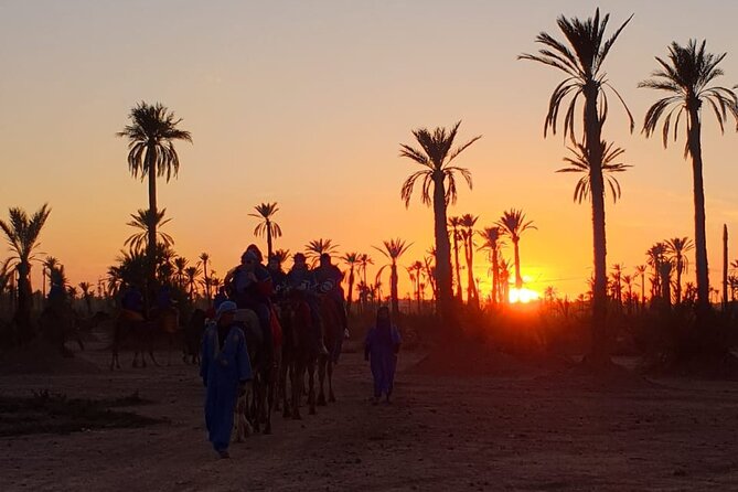 Sunset Camel Ride Marrakech Palmeraie Scenic Camel Ride Adventure