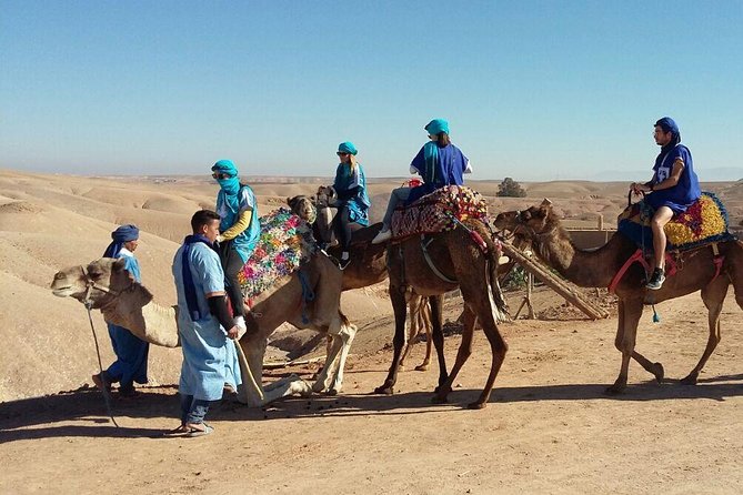 Sunset Camel Ride Tour In Agafay Desert With Dinner Inclusions And Highlights