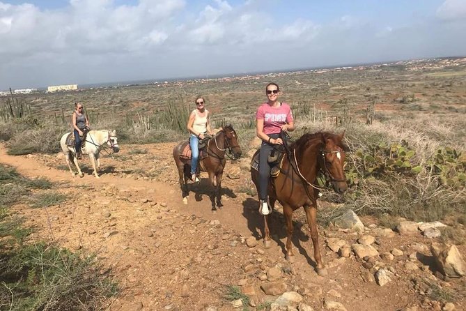 Sunset Horseback Ride Overview Of The Sunset Horseback Ride