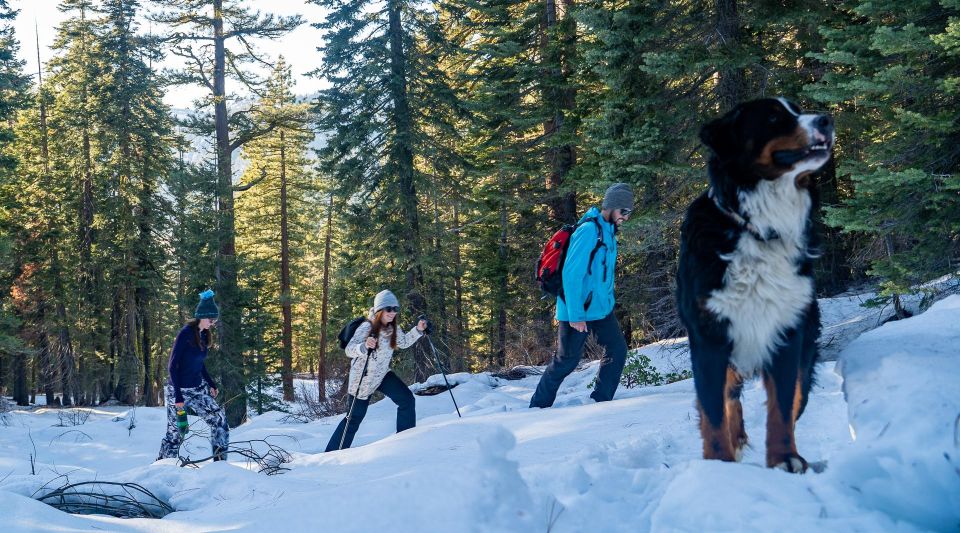 Sunset Snowshoe Guided Hike - Activity Overview