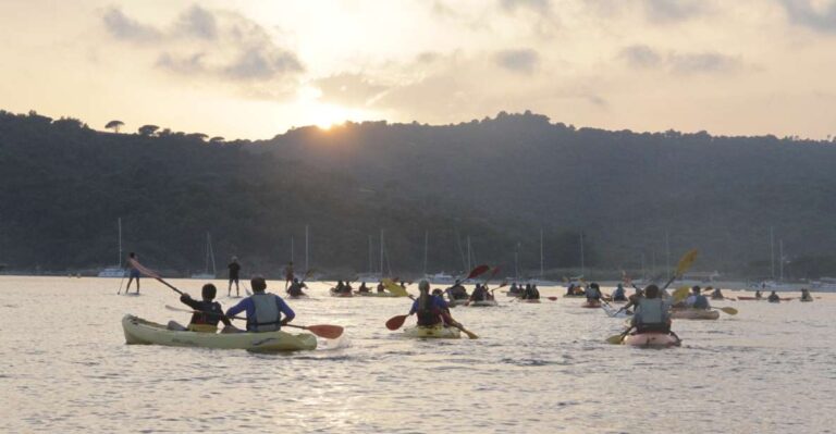 Sunset Trip Kayak Tour In The Gulf Of Saint Tropez Activity Overview