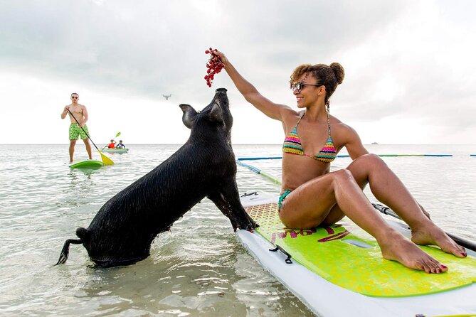 Swimming Pigs of Rose Island & Sea Turtle Viewing Group Tour - Tour Overview