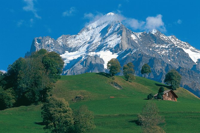 Swiss Alps: Interlaken and Grindelwald Day Trip From Zurich