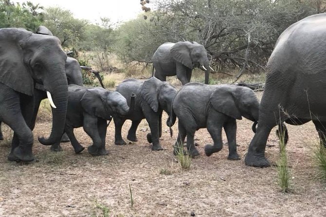 Tanzania Safari The Great Migration In The North Of The Serengeti And Lake Natron Tour Details