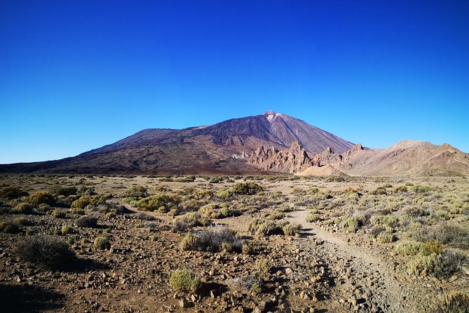 Teide National Park for Smaller Groups - Explore Teide National Park