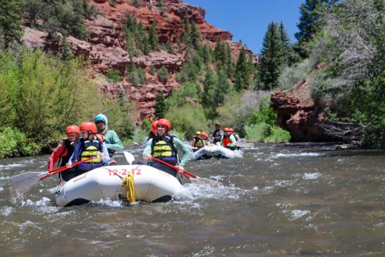 Telluride Whitewater Rafting Full Day With Lunch About The San Miguel River