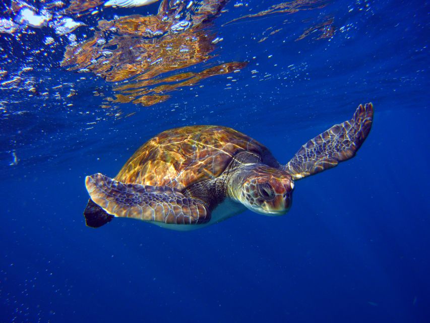 Tenerife: 3-Day Open Water Scuba Diver Course - Course Overview