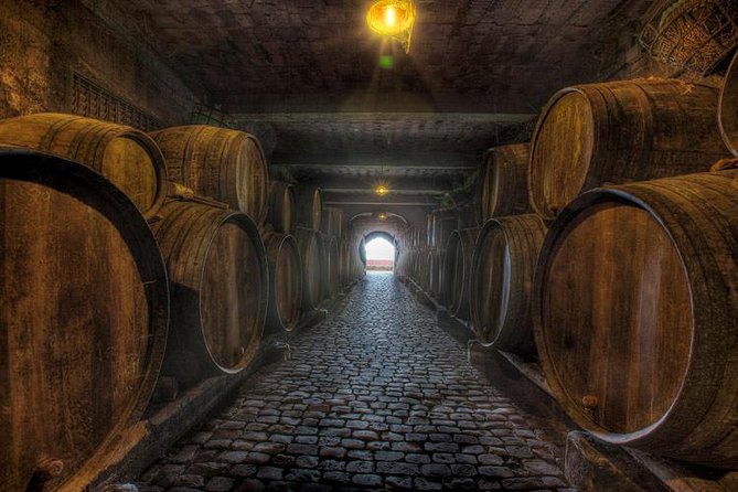 Tenerife Bodegas Monje Winery Tour With Wine and Cheese Tasting - Volcanic Terroir and Flavor Profiles