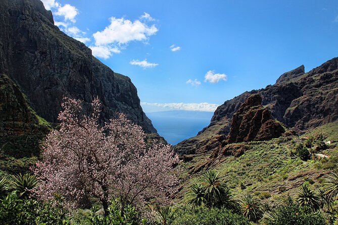 Tenerife Grand Tour: Including Teide National Park and Masca