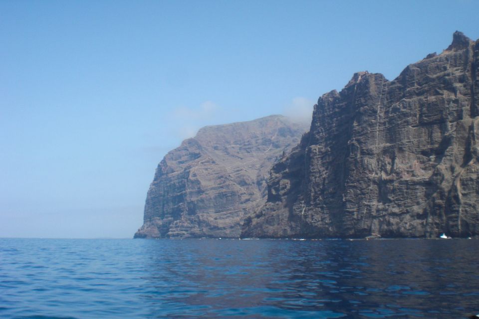 Tenerife: Luxury Private Whale & Dolphin Watching Tour - Overview of the Cruise