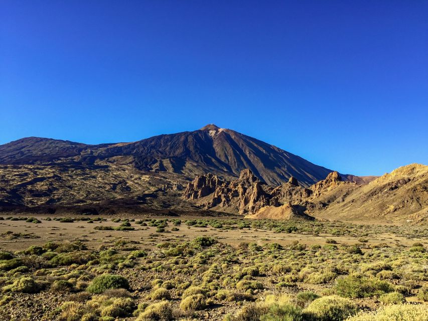 Tenerife Private Tour: Mount Teide Nature and Wine - Volcanic Landscapes and Unique Flora