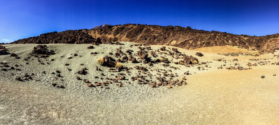 Tenerife Private Tour: Teide and Flavors of The North - Explore Teide National Park