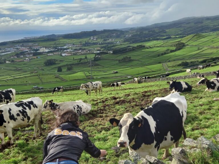 Terceira Private Group Half Day Guided Bus Tour Tour Details