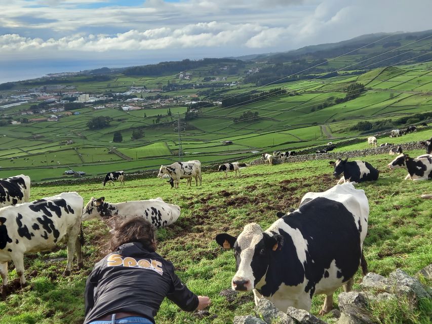 Terceira - Private Group - Half Day Guided Bus Tour - Tour Details