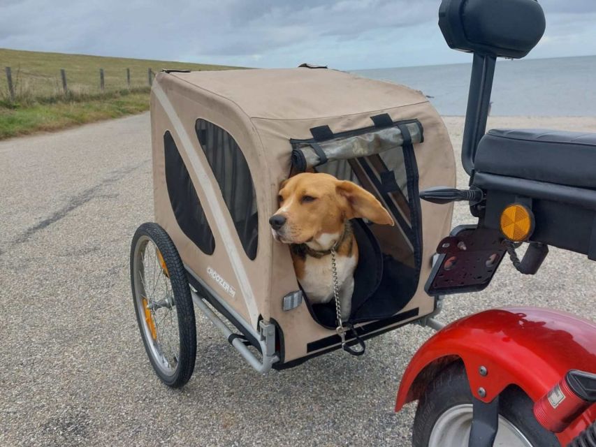 Texel: E-Scooter Rental - Texel Cruiser Experience