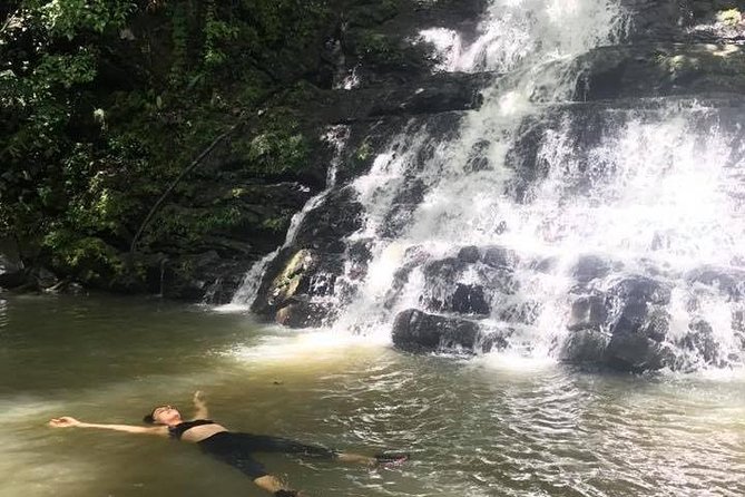 The El Yunque Rainforest Tour From Fajardo Guided Tour Highlights