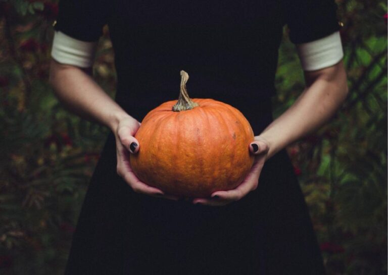 The Halloween Experience Trick Or Treat Eerie Atmosphere Exploration