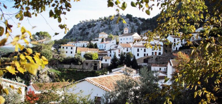 The White Towns Of Andalusia: Private Day Trip From Cadiz Exploring The Sierra De Grazalema