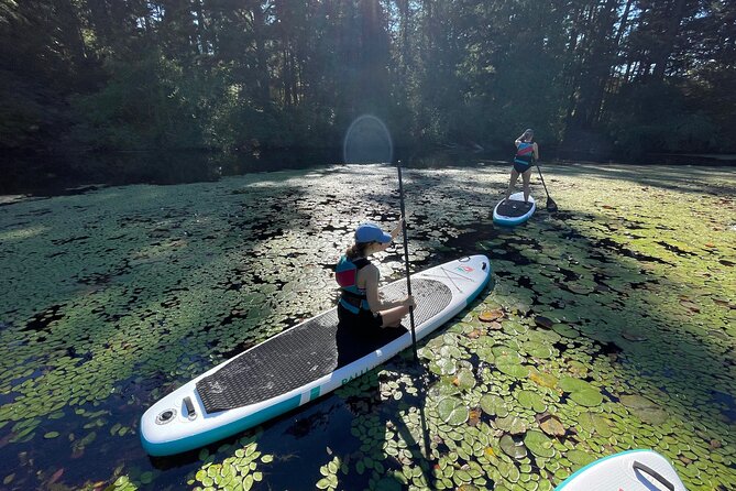 Thetis Lake Stand Up Paddle Boarding Overview Of Thetis Lake