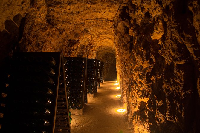 Tour of a Vineyard, Winery & Cellar With Wine Tasting in Vouvray, Loire Valley - Guided Walk Through Vines