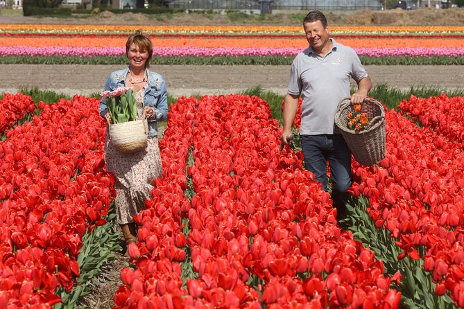 Tour To Keukenhof, Tulip Farm And Windmill Cruise From Amsterdam Whats Included