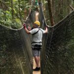 Treetop Adventure Park Canopy Tour Exhilarating Zipline Experiences