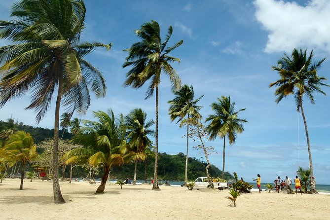 Trinidad Northern Eco Cultural Full Day Highlights Tour From Port Of Spain Relaxing At Maracas Bay Beach