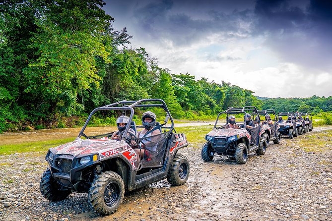 Triple Fun! Monkeyland + Damajagua Waterfalls + Buggies From Puerto Plata Explore Monkeylands Furry Inhabitants