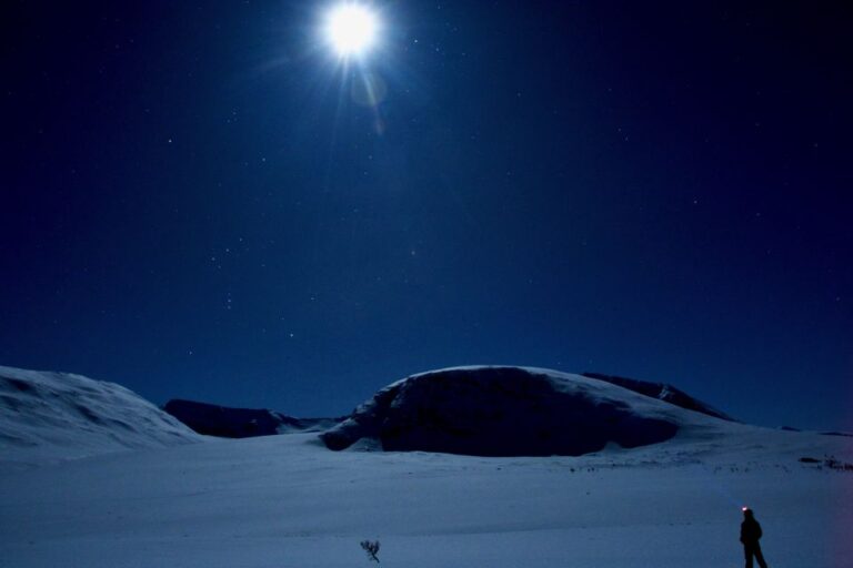 Tromsø: Beginner Friendly Nordic Wilderness Skiing Tour What To Expect