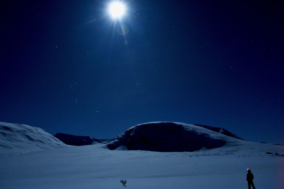 Tromsø: Beginner-Friendly Nordic Wilderness Skiing Tour - What to Expect