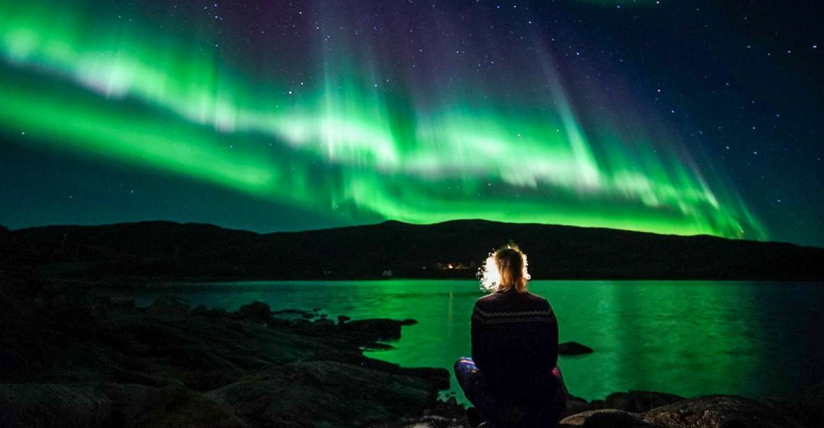 Tromsø: Northern Lights Chase Minibus Tour With Campfire - Tour Overview