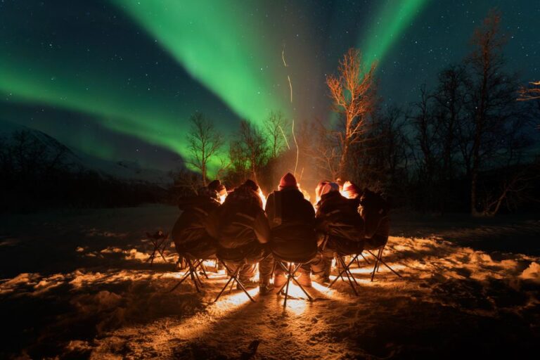 Tromsø: Northern Lights Trip With Campfire And Snacks Activity Details