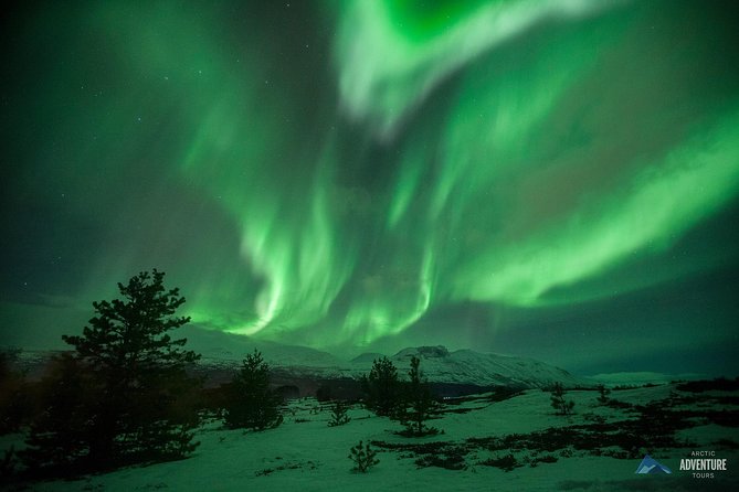 Tromsø: Small Group Northern Lights Hunt