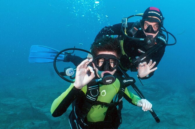 Try Scuba Diving In A Turtle Area (boat) Location And Meeting Point