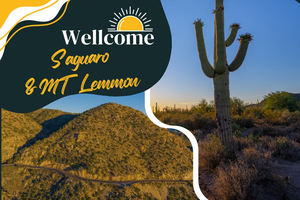 Tucson: Mt Lemmon & Saguaro NP Self-Guided Bundle Tour