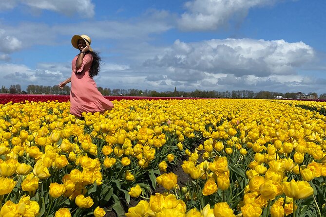 Tulip Field With A Dutch Windmill Day Tour From Amsterdam Tour Overview