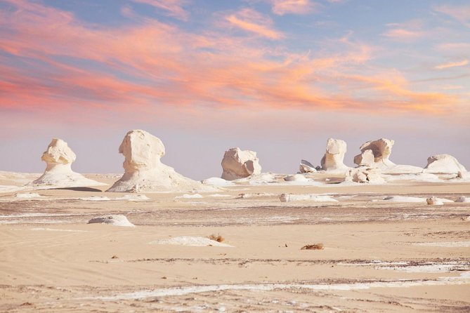 Two Days Tour To Bahariya Oasis And White Desert From Cairo Tour Overview And Details